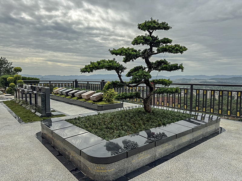 龙居山新区