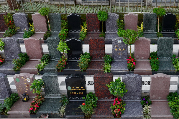 把时间安放在花园里